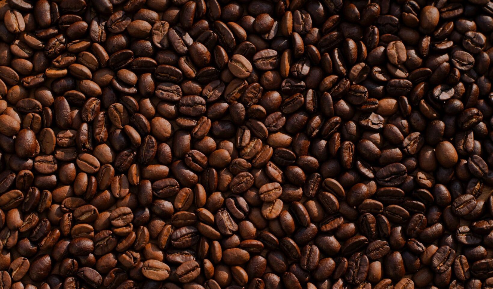 cafe-3