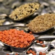 lentejas-arroz
