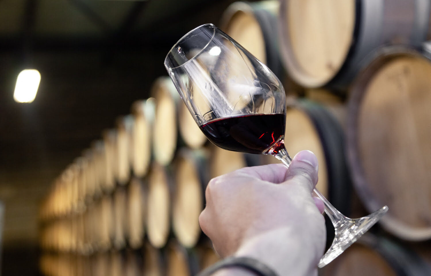 Vino ribera de duero