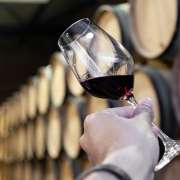 Vino ribera de duero