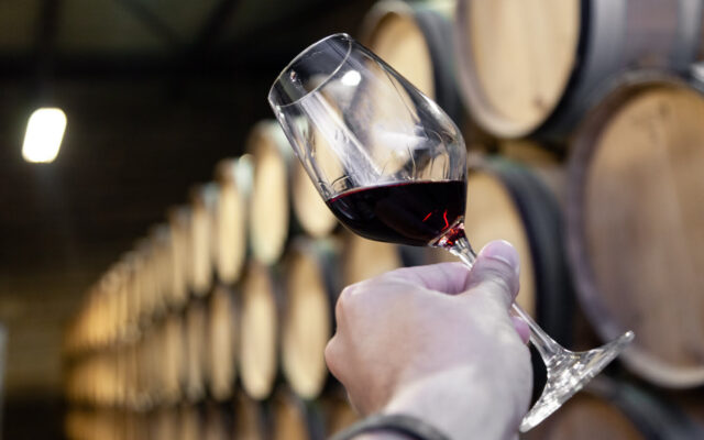 Vino ribera de duero